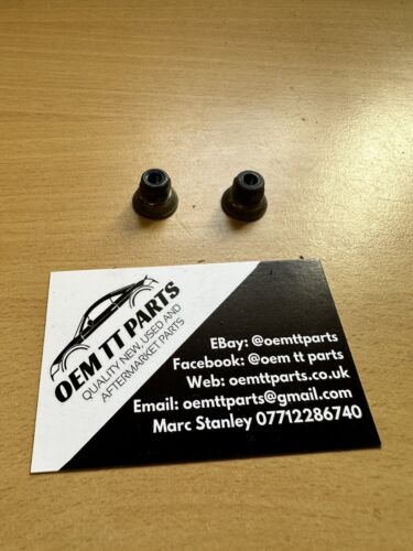 Audi TT Mk1 Front Bumper Nuts (Per Pair)